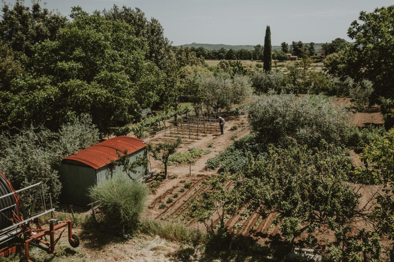 אקואפנדנטה Agriturismo Cerqueto מראה חיצוני תמונה
