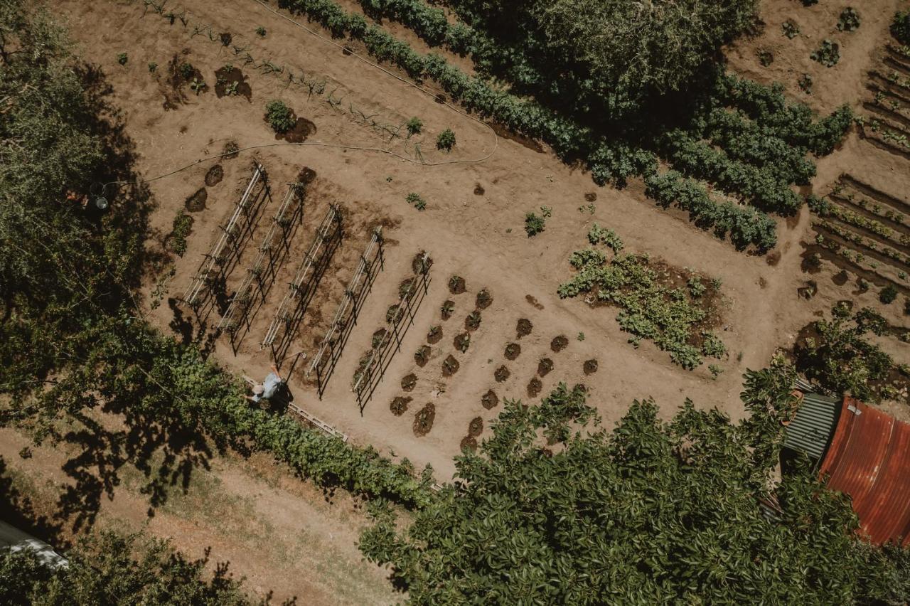 אקואפנדנטה Agriturismo Cerqueto מראה חיצוני תמונה